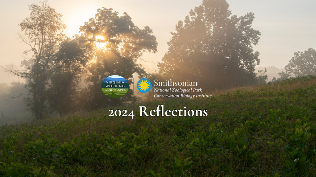 2024 Reflections