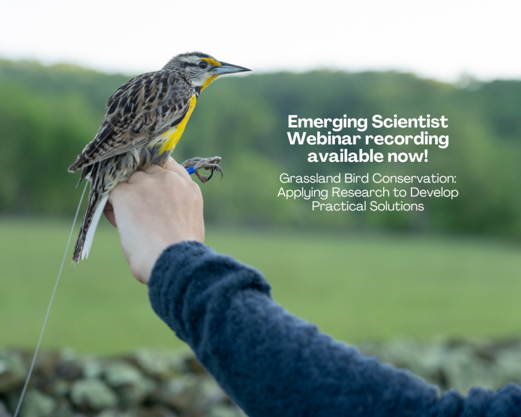 Emerging Scientist Lecture | Grassland Bird Conservation: Applying Research to Develop Practical Solutions