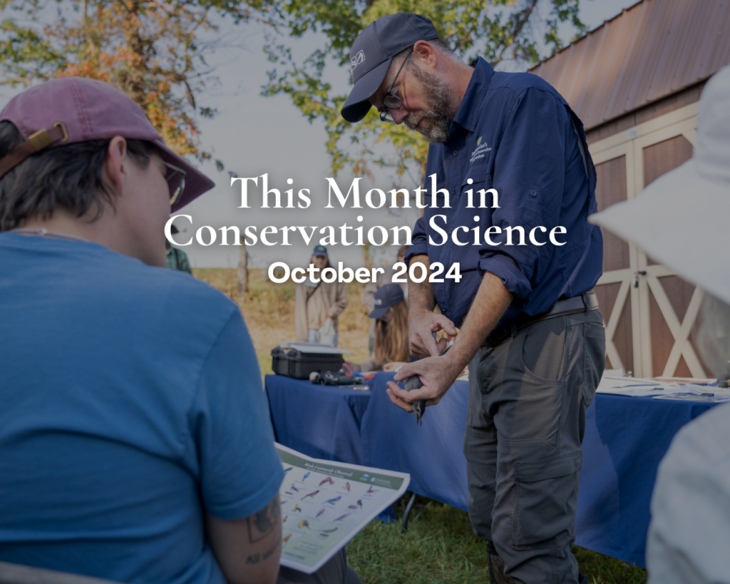 This Month in Conservation Science | October 2024