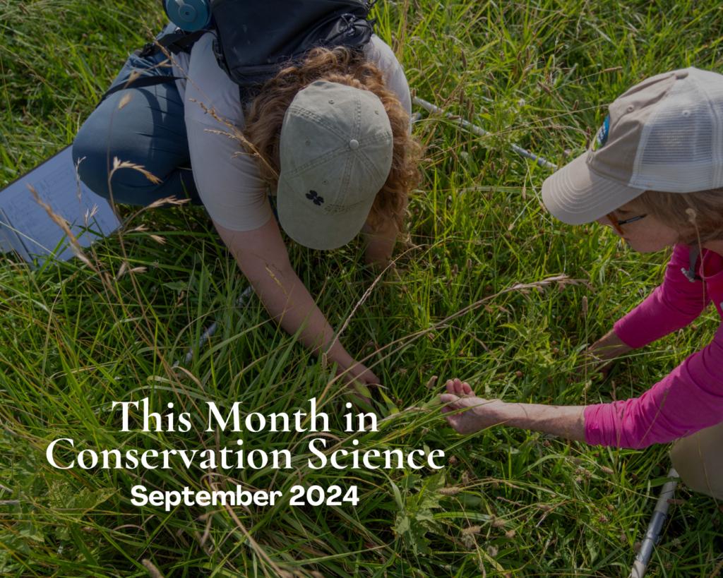 This Month in Conservation Science | September 2024