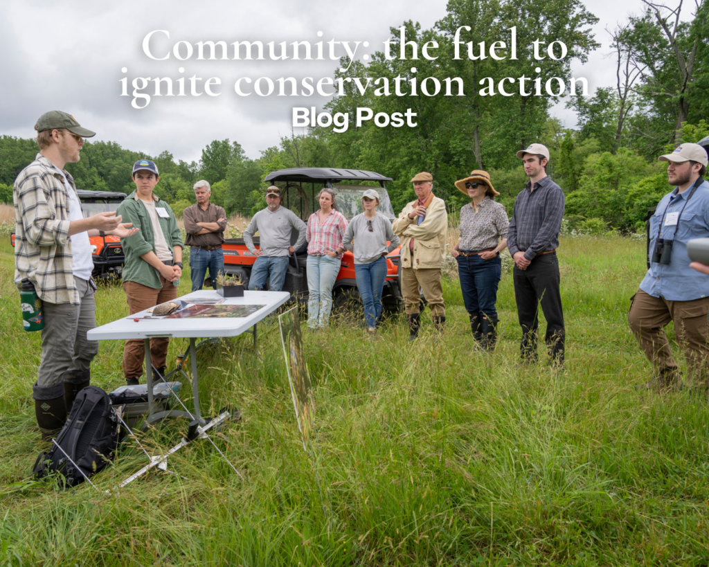 Community: the fuel to ignite conservation action