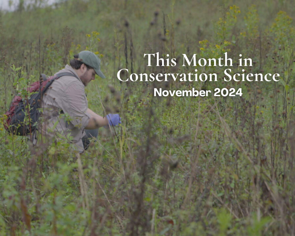 This Month in Conservation Science | November 2024