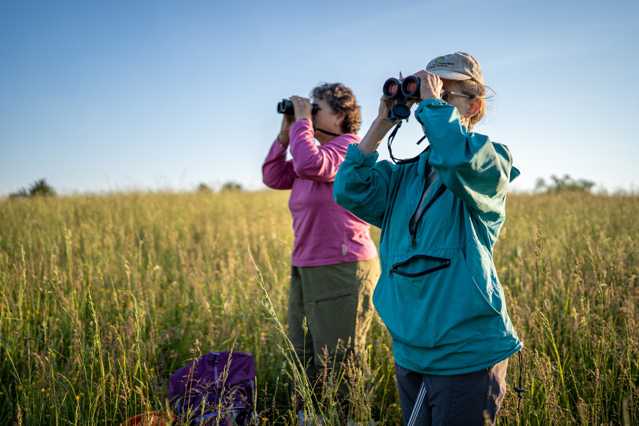 Volunteers use binoculars bird survey